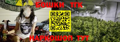 гидропоника Пушкино