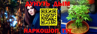 гидропоника Пугачёв