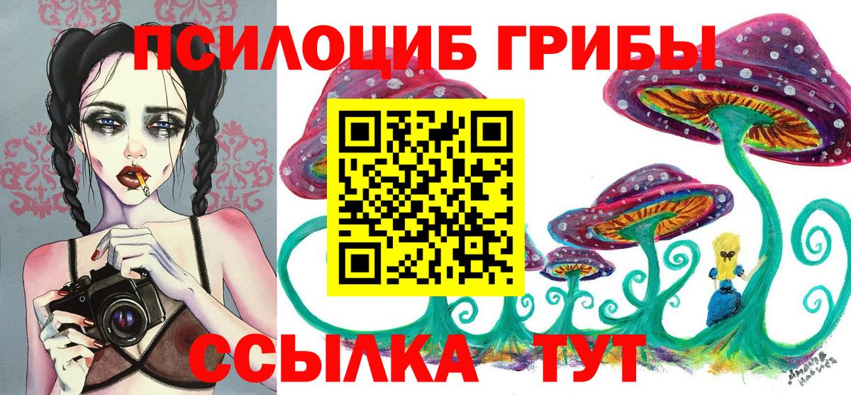 Новозыбков  Псилоцибиновые грибы Psilocybine cubensis  Вход с VPN  Галлюциногенные грибы ЛСД 