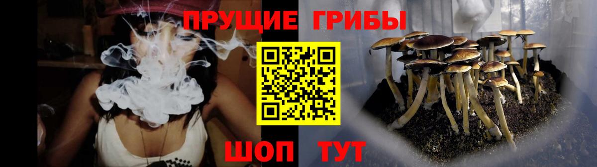 Псилоцибиновые грибы мухоморы Новозыбков
